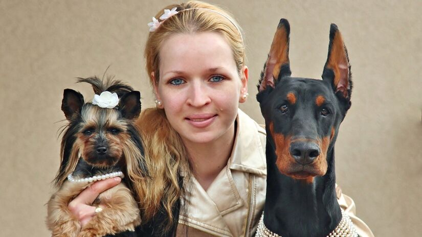 O vínculo com cachorros impacta positivamente corpo e mente em todas as fases da vida / Pixabay