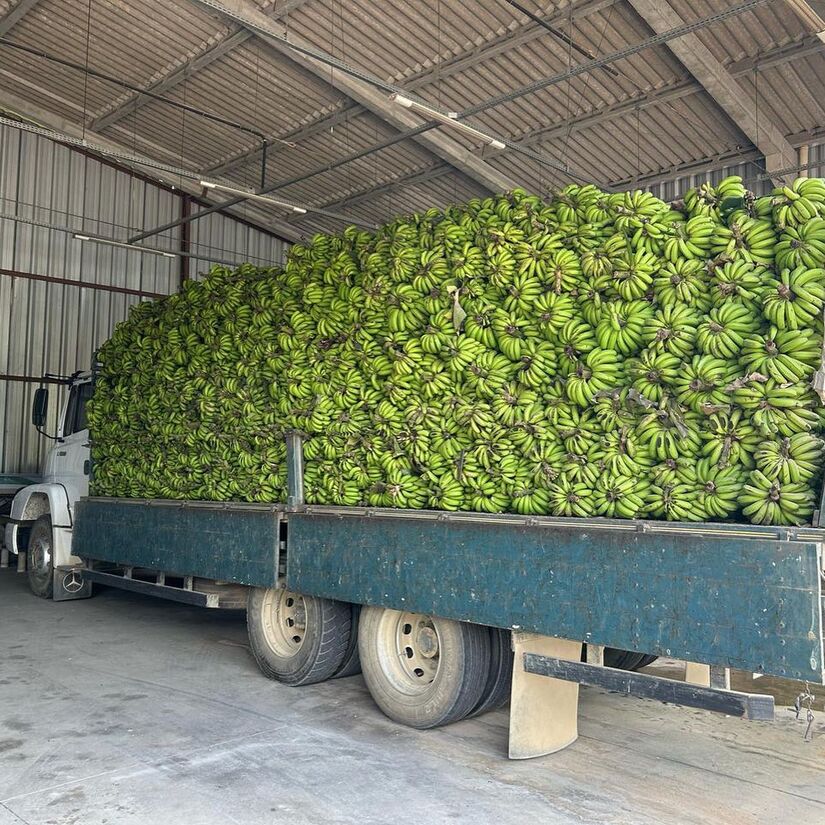 Caminhão com toneladas de bananas chega na fábrica de balas artesanal de Antonina / Facebook