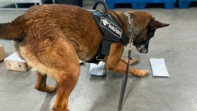 A série 'Aeroporto: Área Restrita' acompanha o trabalho de fiscalização e controle em terminais aéreos, mostrando bastidores da segurança aeroportuária no Brasil/Instagram