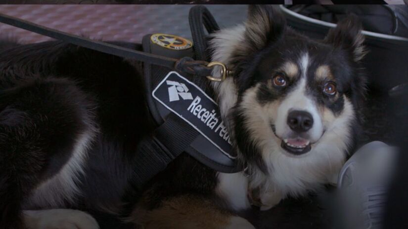 O programa ganhou projeção internacional ao revelar rotinas e desafios da segurança aeroportuária brasileira/Instagram
