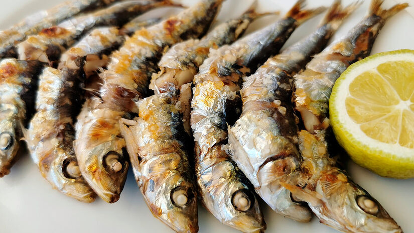 Peixe pequeno, grande em nutrientes: Apesar do tamanho, é rica em proteína de alta qualidade, cálcio, fósforo, selênio e vitaminas do complexo B. Freepik