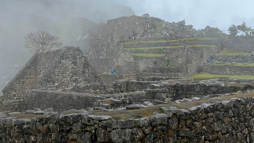 Isabella fernandes/DL