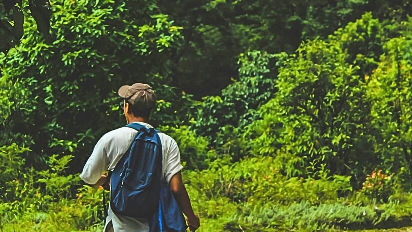 Caminhadas curtas e intermitentes são aliadas poderosas contra os picos de açúcar no sangue/Pexels
