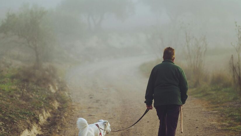 Sem academia ou pesos; basta um calçado confortável para transformar sua saúde metabólica/Pexels