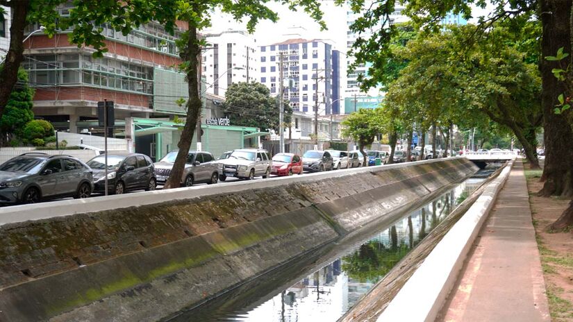 Apesar da presença visível de espécies aquáticas, a pesca nos canais é proibida devido à contaminação das águas por resíduos. Renan Lousada/DL