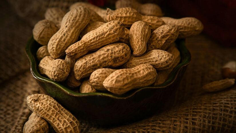 O segredo do sucesso de Jaboticabal está na inovação. Com o apoio de pesquisas da Unesp e alta mecanização, os produtores locais utilizam o amendoim na rotação de culturas com a cana-de-açúcar, otimizando o solo e garantindo safras recordes com tecnologia de ponta/Pexels