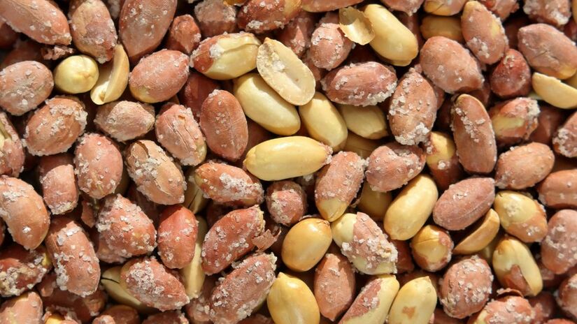 Ser a 'Capital Estadual do Amendoim' vai além da economia; faz parte da alma da cidade. As festas rurais e eventos gastronômicos de Jaboticabal celebram essa cultura, unindo tradições centenárias com a modernidade de uma cadeia produtiva bilionária/Pexels