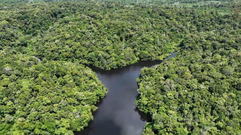 Essa constatação desafia a antiga ideia de que o interior amazônico era apenas cenário de ocupações dispersas (Divulgação)