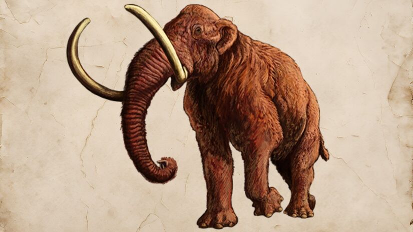 Algumas espécies de mamute chegavam a medir mais de quatro metros de altura / Centro de Banco de Dados para Ciências da Vida (DBCLS) / Wikimedia Commons