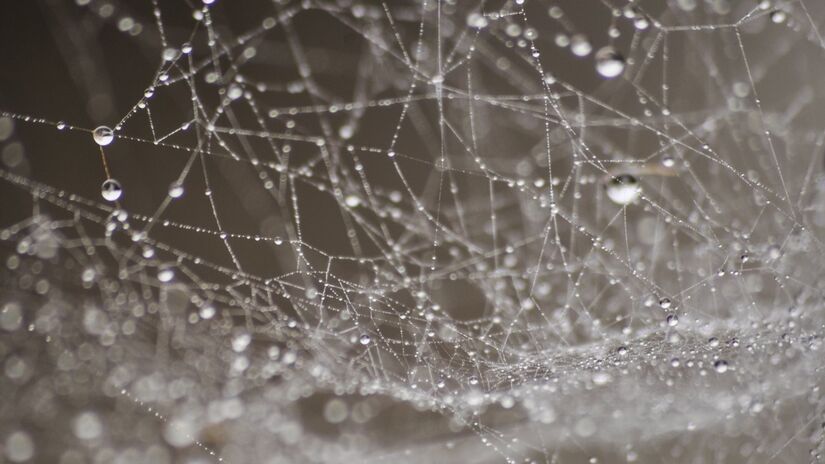 A estrutura é tão vasta que cobre o equivalente a meia quadra de tênis, estendendo-se por corredores estreitos onde o ar carregado de enxofre tornaria a vida impossível para a maioria dos seres vivos/ Pixabay