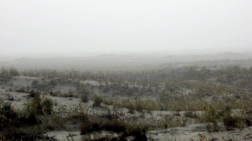 A iniciativa integra o programa chinês de cinturões verdes contra a desertificação / Colegota/Wikimedia Commons