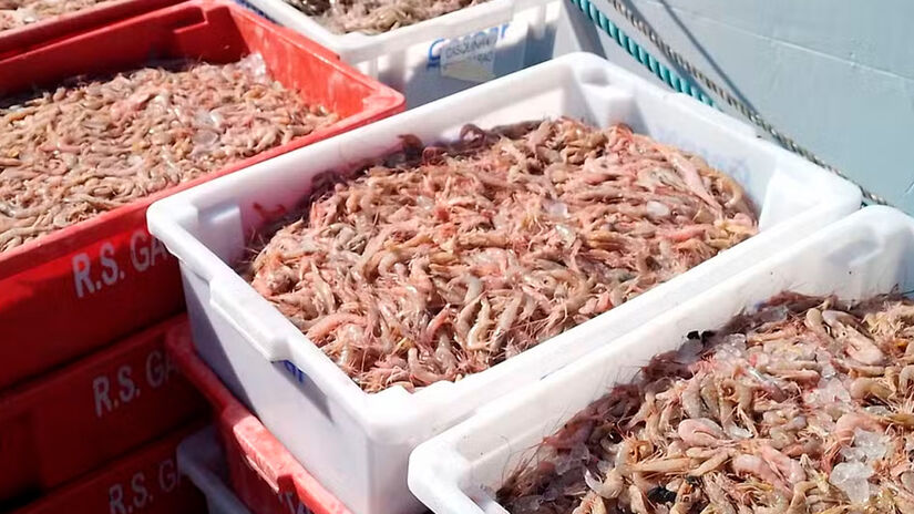 A Quaresma dura 40 dias porque faz referência ao tempo que Jesus passou no deserto em jejum e oração. Pixabay