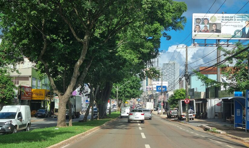 Com parques, bosques e ruas arborizadas, cidade brasileira se torna símbolo global de sustentabilidade urbana (Wikimedia Commons)