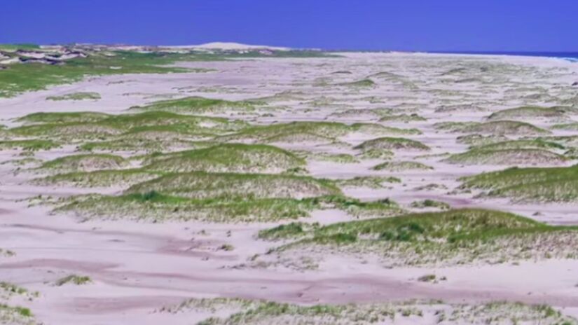 Reconhecida como parque nacional, a Ilha é protegida por leis ambientais que permitem o acesso apenas a pesquisadores. Reprodução/Parks Canada/YouTube