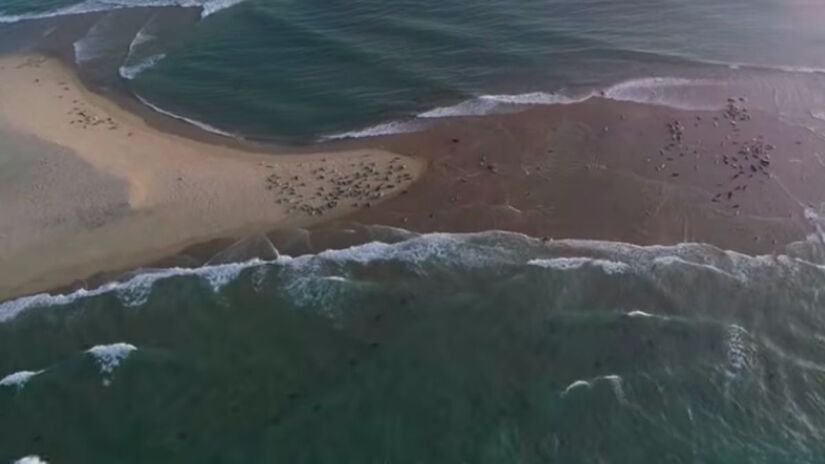 Localizada a cerca de 180 km da costa da Nova Escócia, a ilha apresenta altitude máxima inferior a 30 metros. Reprodução/Parks Canada/YouTube
