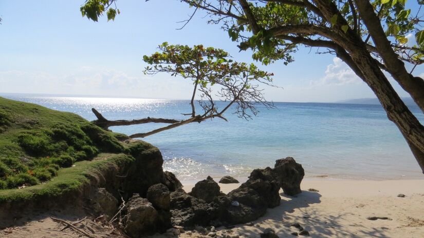  / Jorge Brasil/Wikimedia Commons