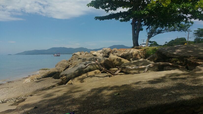 O encontro entre rios e oceano forma ambientes naturais de grande beleza e biodiversidade / ducacorreia/Wikimedia Commons