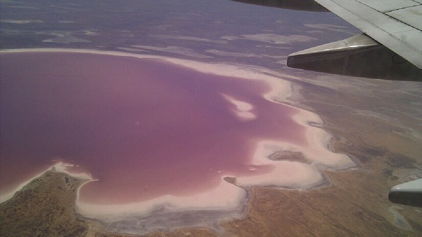 As cheias desempenham papel crucial na sobrevivência do ecossistema / Wikimedia Commons