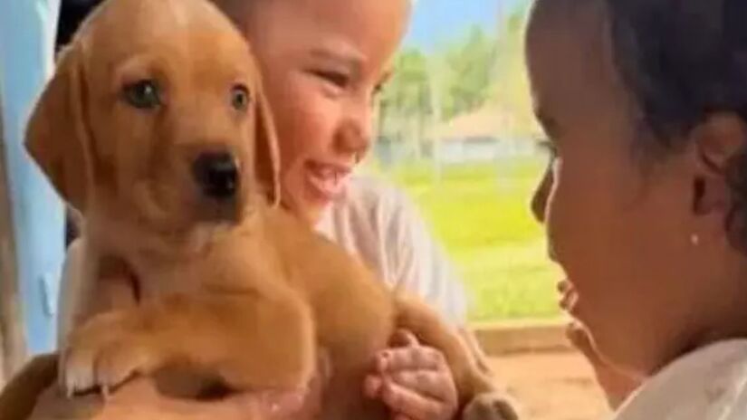 A pequena apareceu nos Stories da mãe segurando um cachorrinho no colo/Reprodução