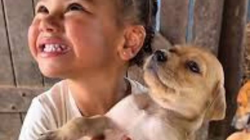 Bruna questionou quem ficaria responsável pelos cuidados do novo pet, e a menina disse que seria o 'papai'/Reprodução