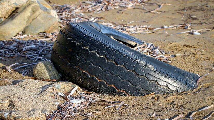 O descarte irregular pode trazer muitos problemas como a poluição / Pixabay