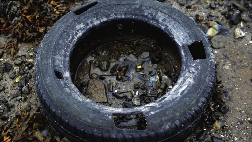 Além de poluir, pneus usados podem ser criadouros de mosquitos transmissores de doenças / Pixabay