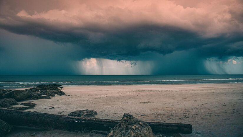 Além das perdas econômicas, os cientistas alertam para transformações profundas no ecossistema marinho/Pexels