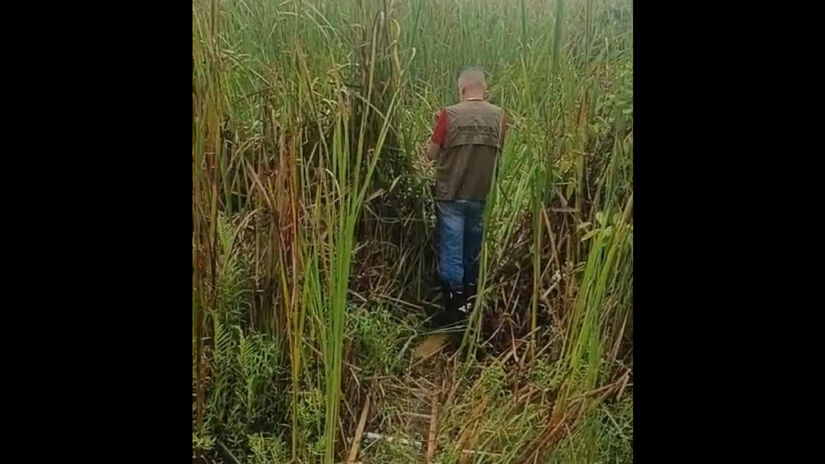O pesquisador Ivan Lima informou que esteve no local após receber um vídeo gravado na chácara / Saga Suséliton