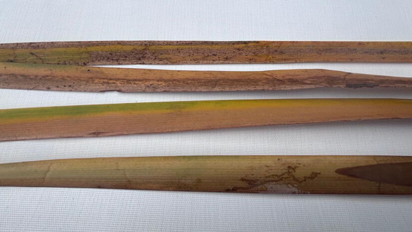 Segundo Ivan Lima, os testes foram repetidos diversas vezes / Saga Suséliton