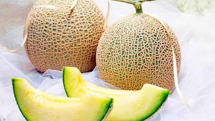 Reprodu&ccedil;&atilde;o/Consulado Geral do Jap&atilde;o