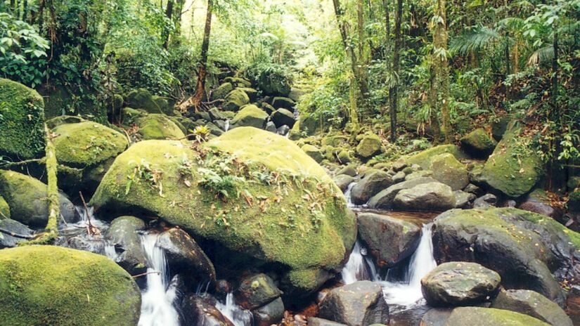 O Parque Estadual da Ilha do Cardoso abriga comunidades caiçaras e aldeias indígenas em área de preservação no litoral sul de São Paulo/Fundação Florestal