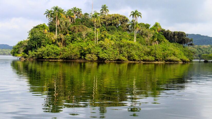 Localizado em Cananéia, o parque é reconhecido pela biodiversidade e pelos ecossistemas de restinga, manguezal e Mata Atlântica/Fundação Florestal