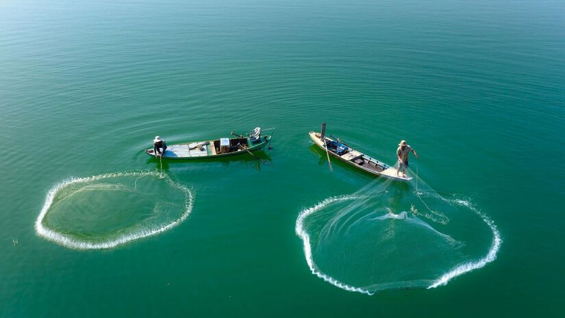 Grupo de Trabalho vai avaliar futuro da atividade com base em dados técnicos e participação social/Pexels