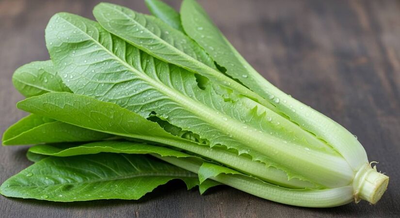 Alface-Chinesa ficou em segundo lugar/Image FX