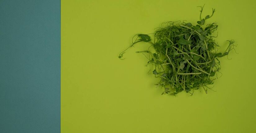 Agrião ficou em primeiro lugar/Pixabay