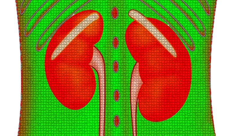 Alimentação equilibrada contribui para a prevenção de doenças renais / Pixabay