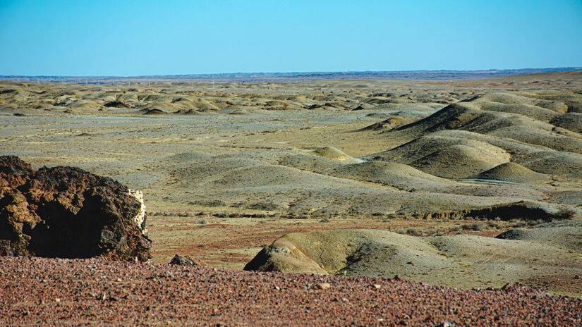 Diferente de outros desertos, o Gobi tem áreas com vegetação resistente ao clima extremo / Pixabay