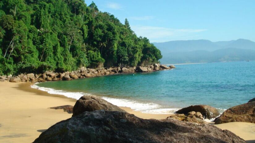 A Praia do Cedro mantém sua natureza praticamente intocada/Divulgação