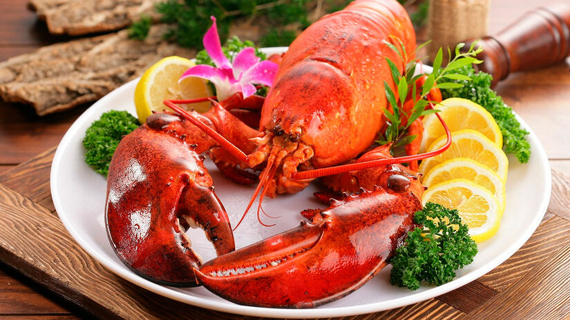 Vida longa: algumas esp&eacute;cies de lagosta podem viver mais de 50 anos, crescendo lentamente ao longo da vida. Pixabay