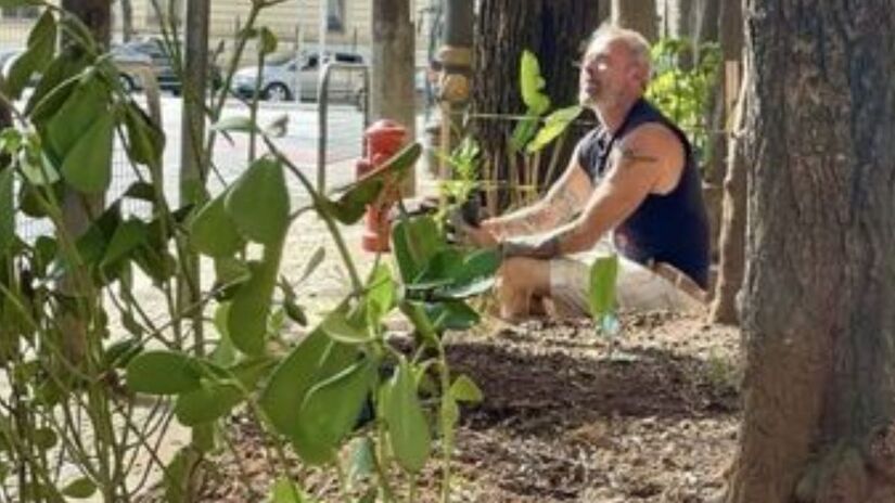 Projeto aposta na criação de pequenas florestas urbanas com espécies 100% nativas/Instagram