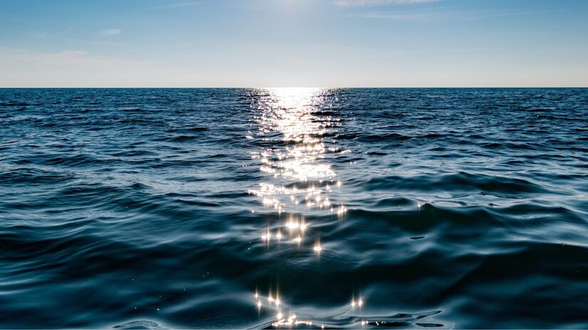 Considerado um dos maiores aqu&iacute;feros do mundo, o sistema amaz&ocirc;nico amplia o debate sobre preserva&ccedil;&atilde;o / Pixabay