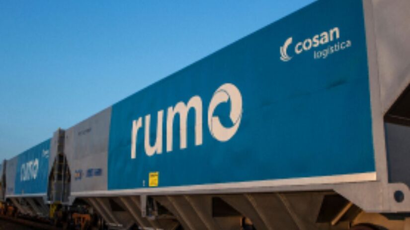 Processo seletivo avalia conhecimentos técnicos e competências comportamentais/Reprodução