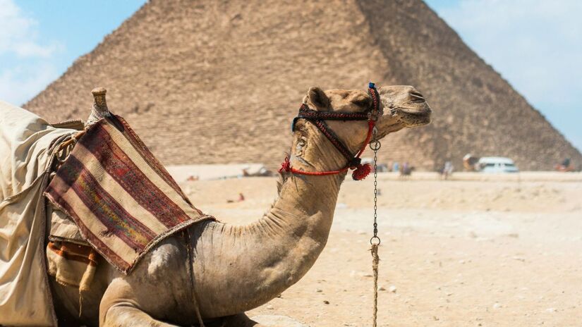 Além das figuras de prisioneiros, o calçado exibe os Nove Arcos, símbolo que representava a totalidade dos rivais do Egito. Feitas de madeira, couro e ouro, as sandálias eram ferramentas de propaganda política usadas para projetar uma imagem de invencibilidade/Unsplash