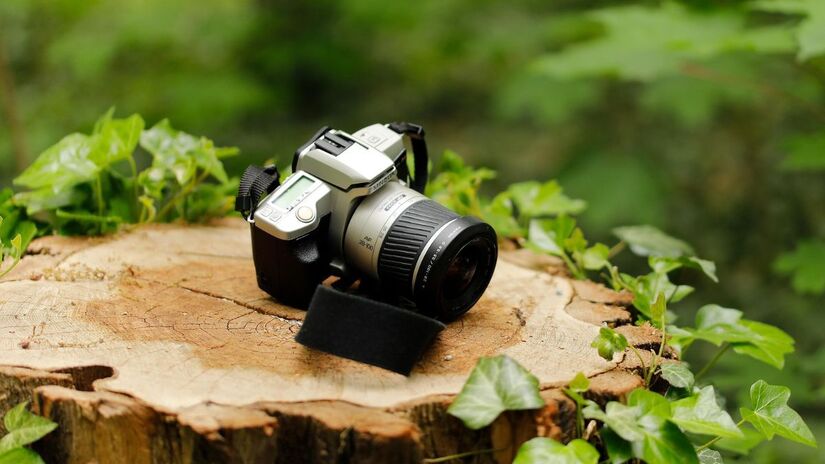 Um olhar treinado transforma cenas simples em imagens marcantes / Pixabay