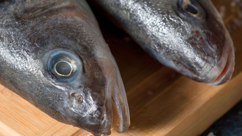 Peixe de preço elevado: devido à alta procura e menor disponibilidade, o quilo do robalo pode superar até o preço de peixes importados, como o salmão. [Freepik]