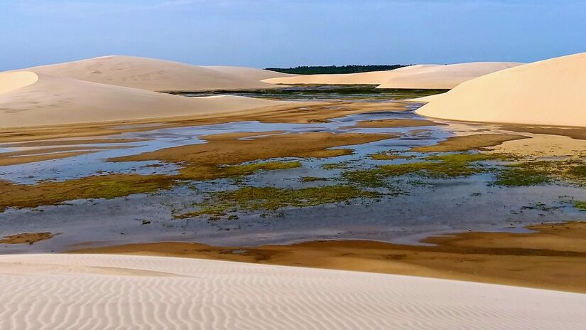 A regi&atilde;o abriga rica biodiversidade com aves, peixes e esp&eacute;cies t&iacute;picas do delta / Gabriel P. Silva/Wikimedia Commons