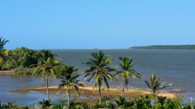 A natureza preservada faz do delta um dos destinos mais encantadores do litoral brasileiro / Ralves.felipe/Wikimedia Commons