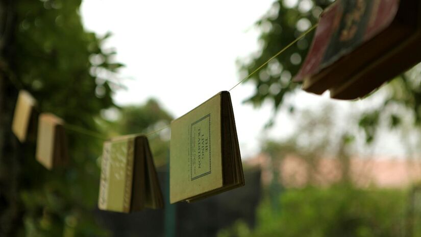 Steven Comisar ficou famoso nos anos 90 por uma das fraudes mais criativas dos EUA. Ele vendia um 'secador de roupas movido a energia solar' por quase 50 dólares, mas os clientes recebiam apenas um varal comum de corda, explorando a literalidade da descrição para enganar milhares de pessoas/Pexels