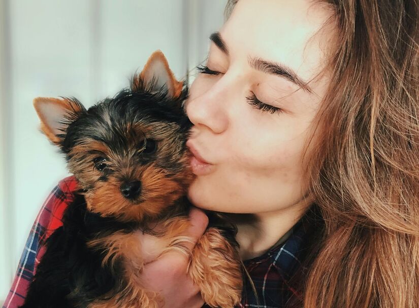 A convivência com cachorros contribui para a redução do estresse e da ansiedade no dia a dia (Pexels)