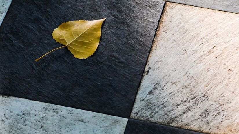 Escovas muito duras danificam a superfície e facilitam o acúmulo de resíduos / Pixabay